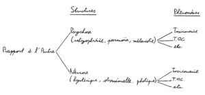 Le diagnostic structural Névrose-Psychose