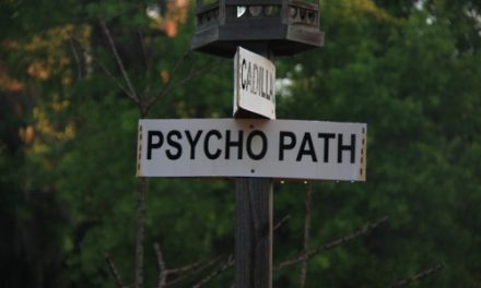 La petite histoire du psychiatre et de son psychopathe